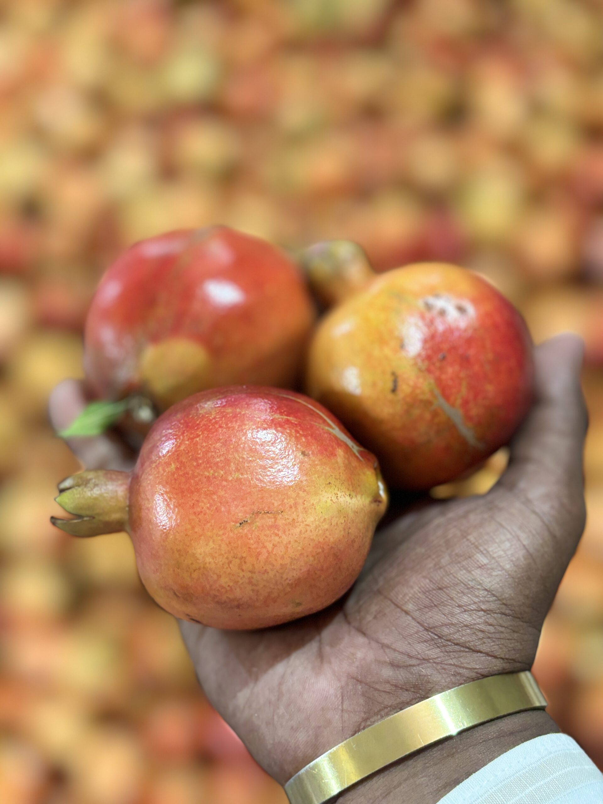 Pomegranate - Image 4