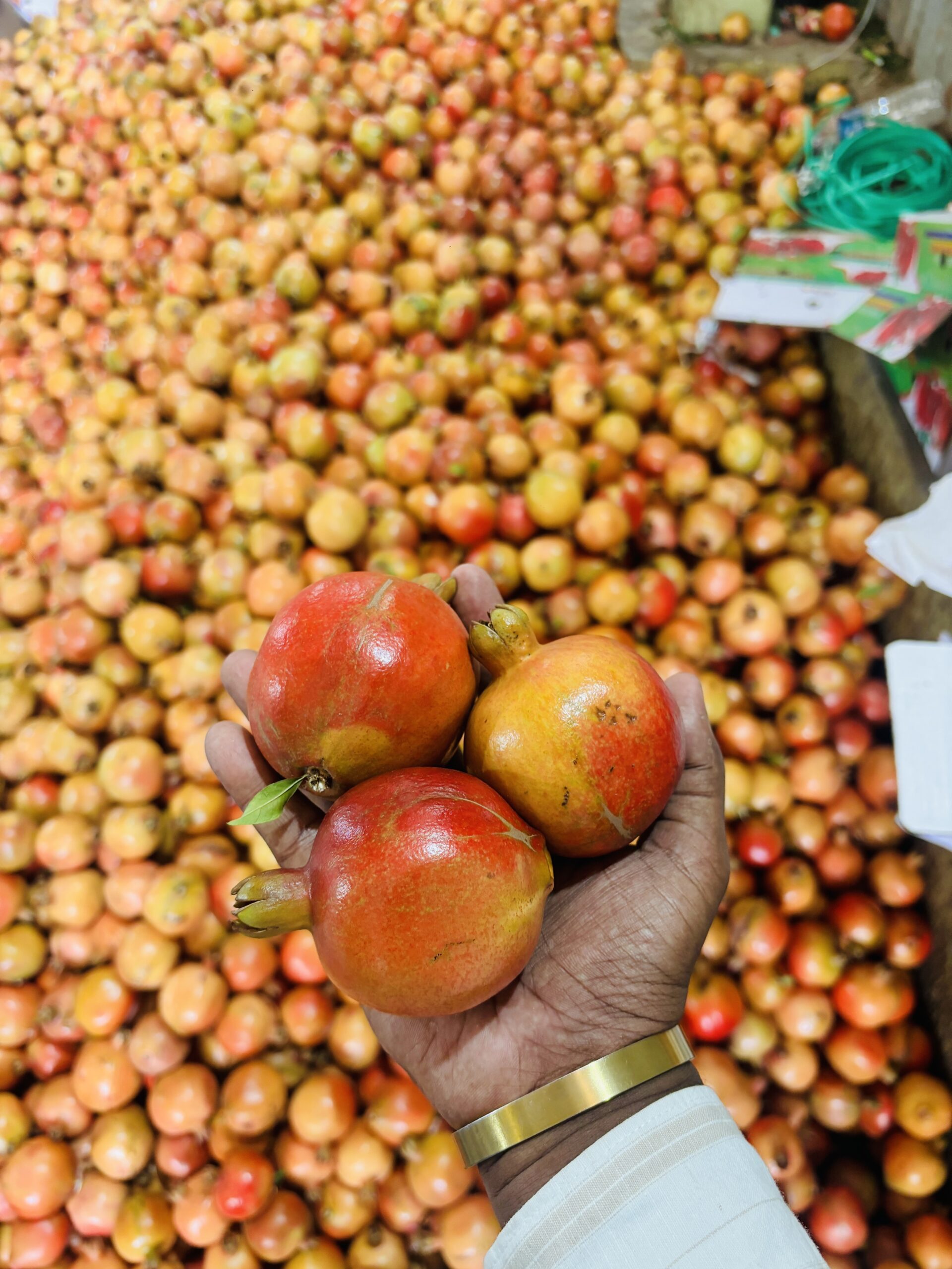 Pomegranate - Image 6